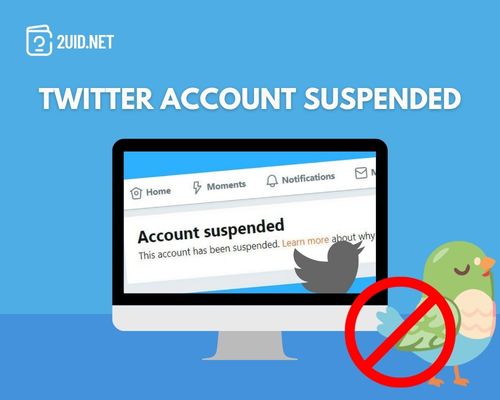 Why Is My Twitter Account Suspended?