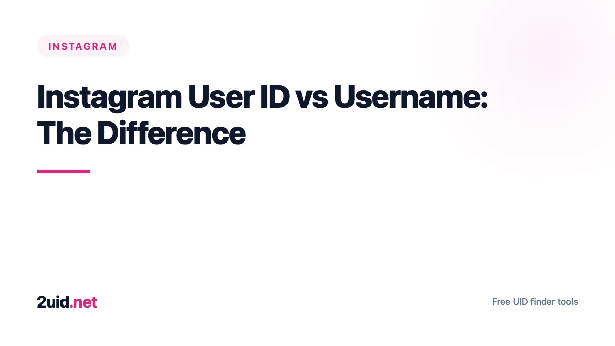 Instagram User ID vs Username: The Difference