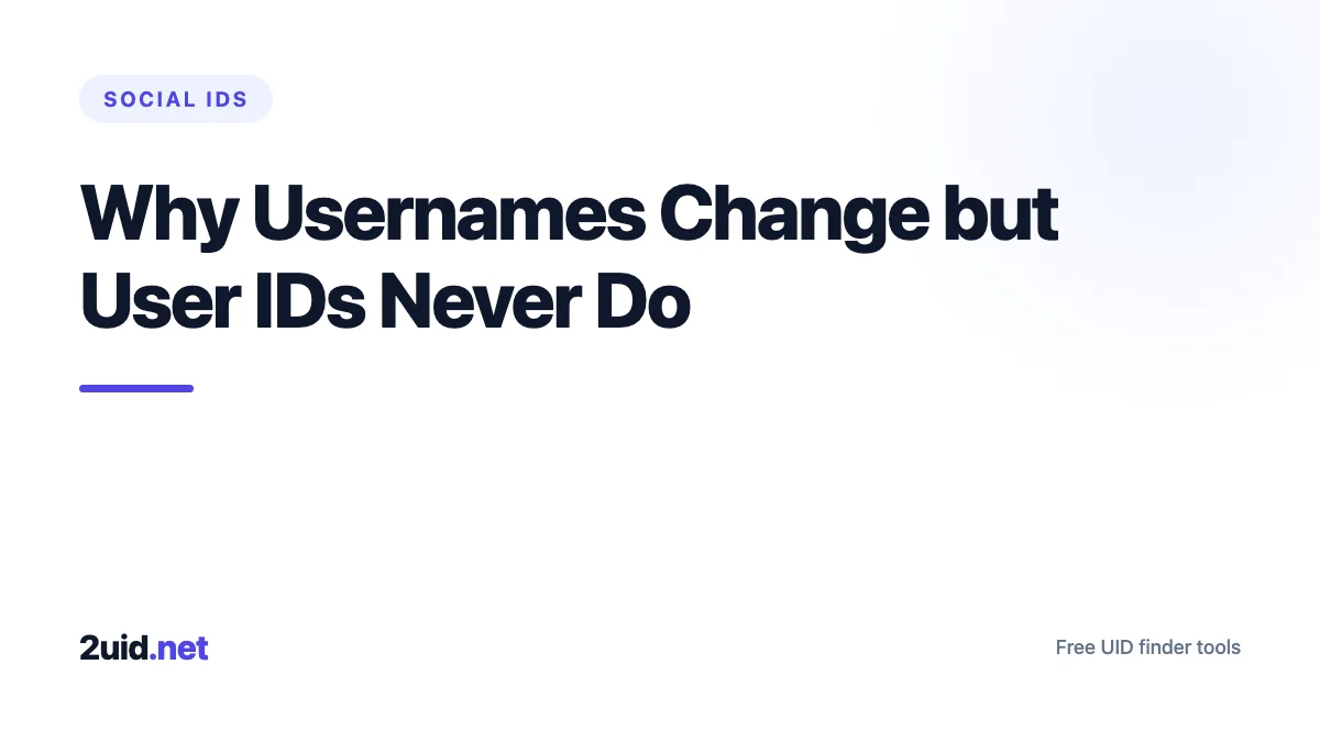 Why Usernames Change but User IDs Never Do
